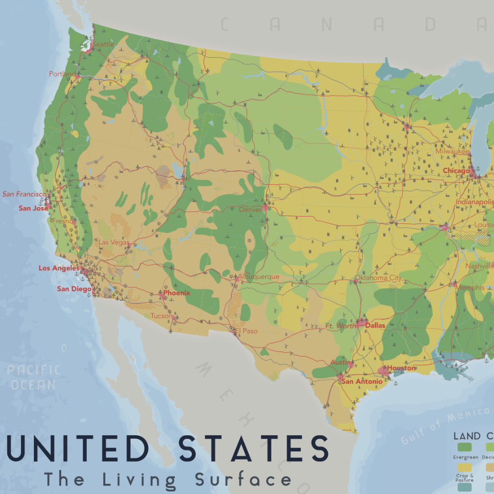 US: The Living Surface